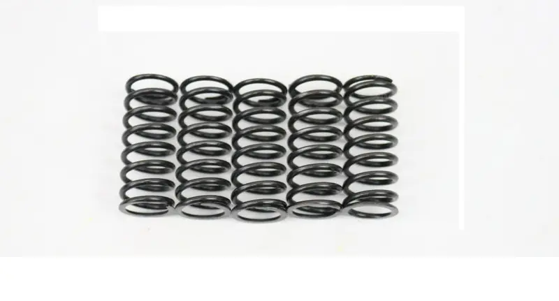 Kawasaki Clutch Spring 1