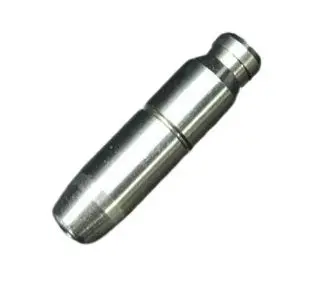 Kawasaki Guide Valve 1