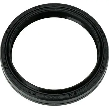 Kawasaki Oil Seal 1