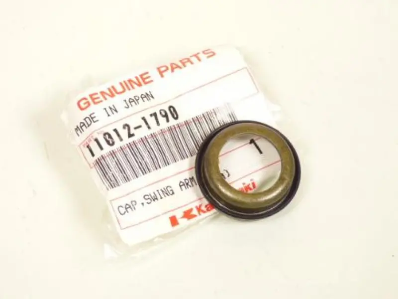 Kawasaki Swing Arm Pivot Cap 1