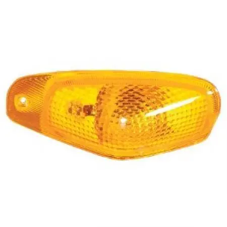 Kawasaki Turn Signal 1