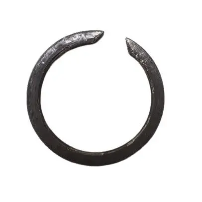 Ktm Axial Circlip 1