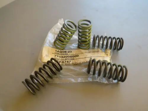 Ktm Clutch Spring 1