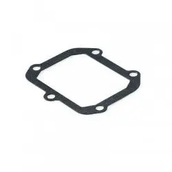 Ktm V-Plate V-Force Gasket Reed 1