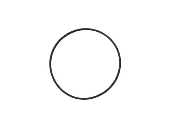 Ktm Viton O-Ring 1