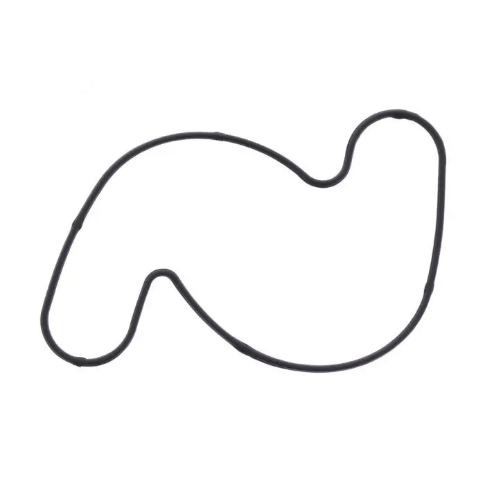 Ktm Water Pump Gasket 1