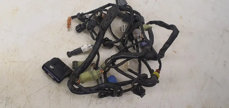 Ktm Wiring Harness 1