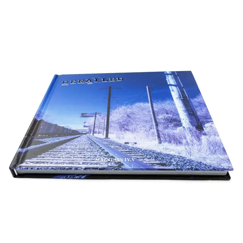 Maintain Iv.V - Derailed Book 1