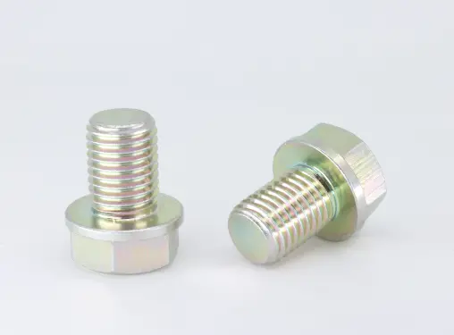 Oil Drain Plug (0110-013005-00001) 1