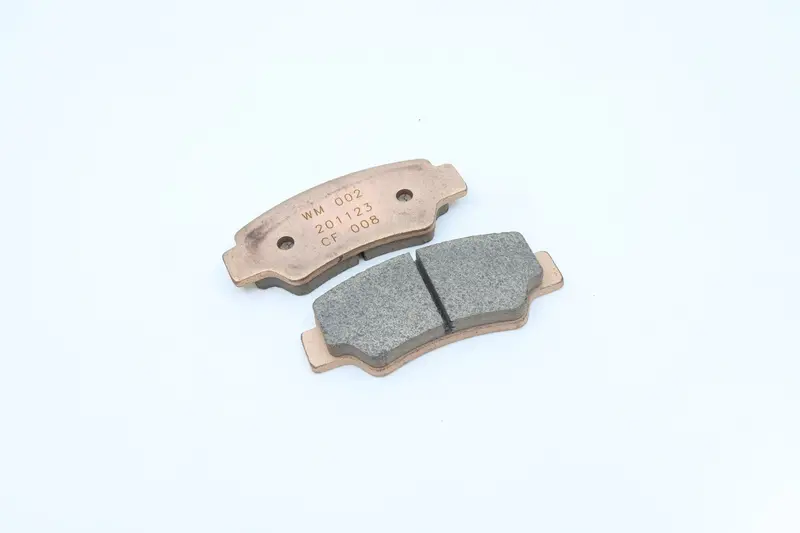 Rear Brake Pad Assy 1