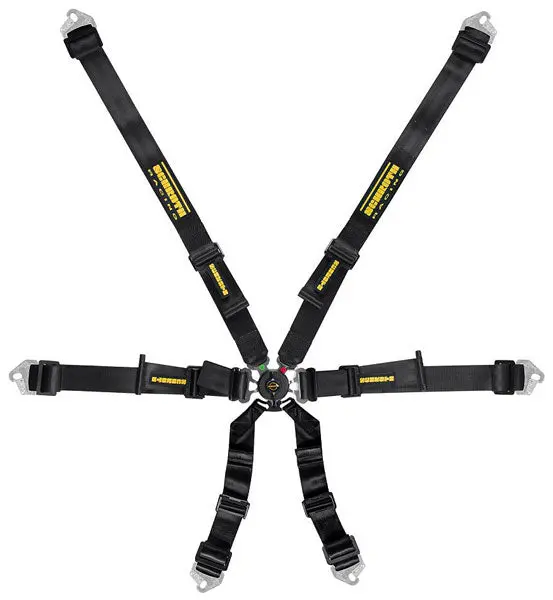 Schroth Flexi 2X2 Fia Harness, 2" Shoulder 2" Lap, Pu/Pd 1