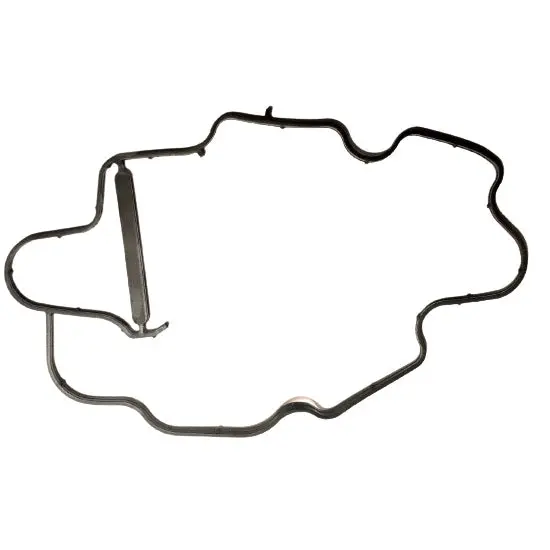 Sea-Doo Engine Gasket 1