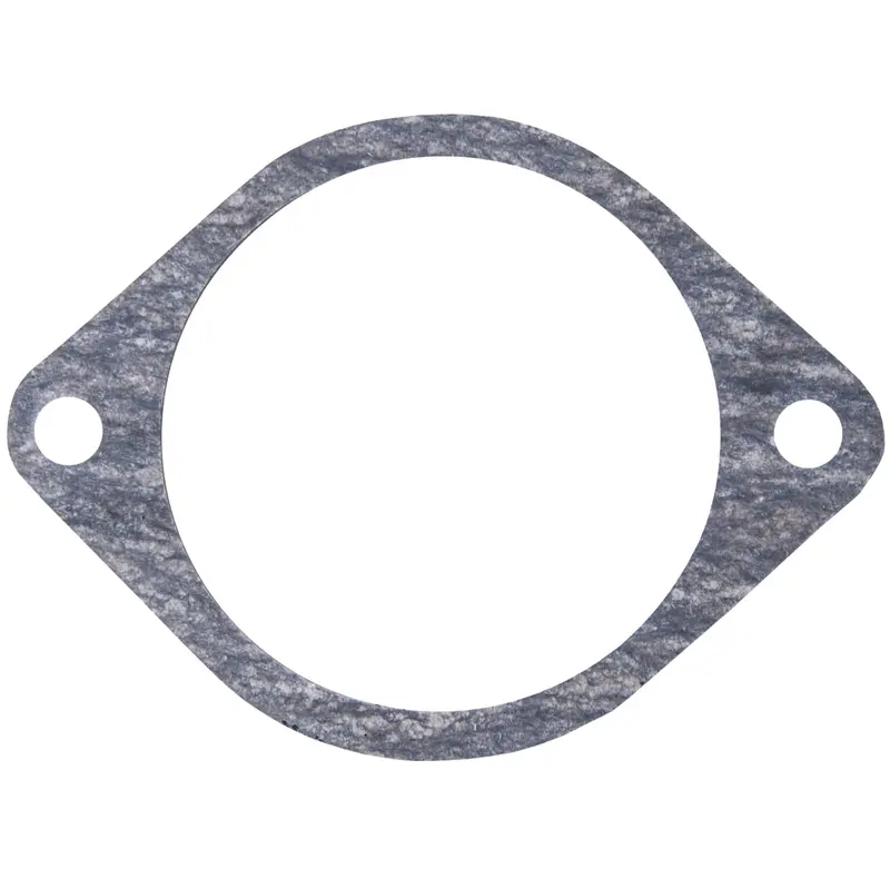 Sea-Doo Flame Arrestor Gasket 1