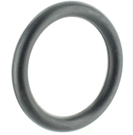 Sea-Doo Fuel System O-Ring 1