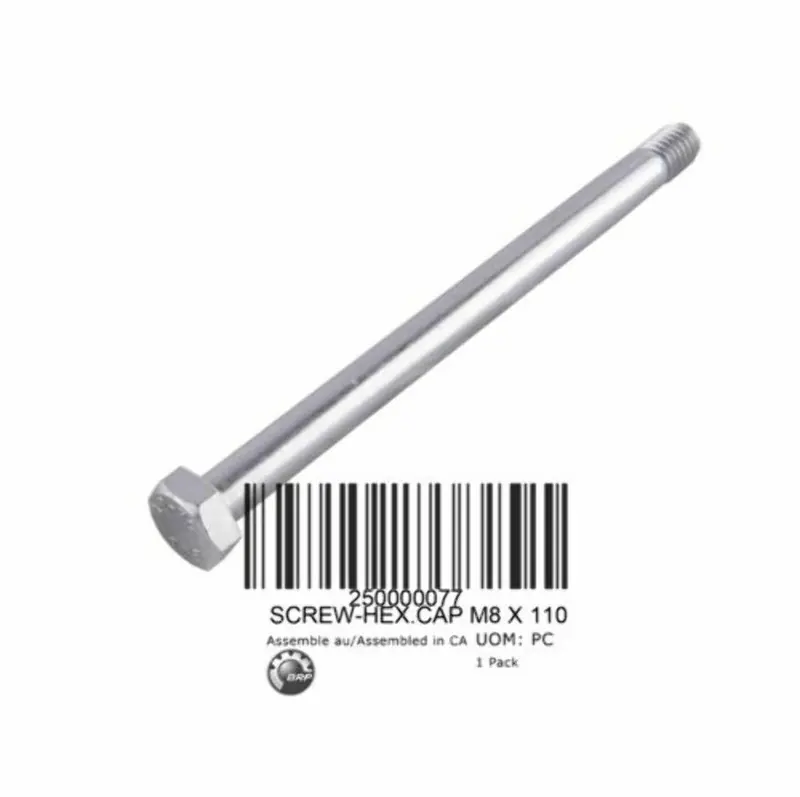 Sea-Doo Hex Screw 1
