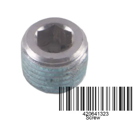Sea-Doo M10 X1 Plug Screw 1