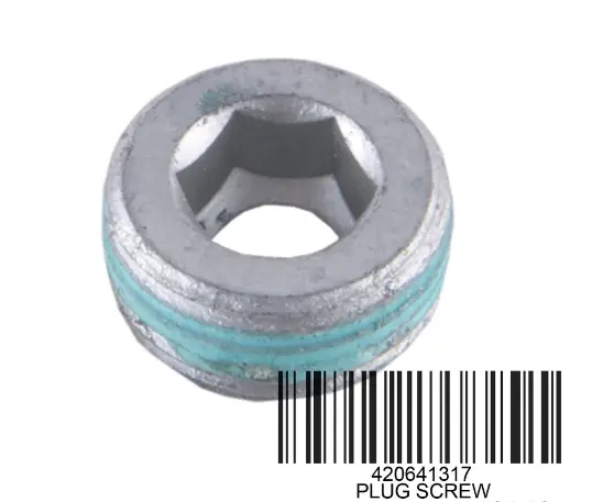 Sea-Doo M20 X 1.5 Plug Screw 1