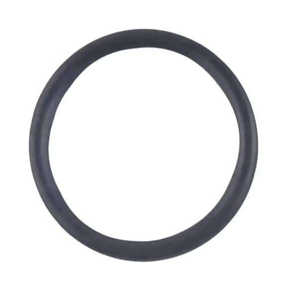 Sea-Doo O Ring (420431580) 1