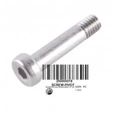 Sea-Doo Pivot Screw 1