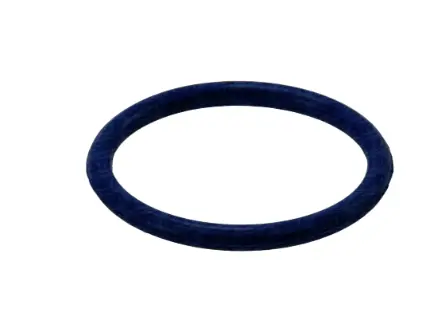 Sea-Doo Thermostat O-Ring 1