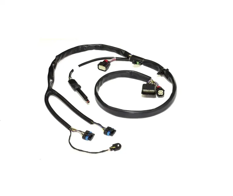 Sea-Doo Wiring Harness Assembly 1