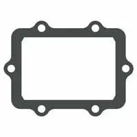 Ski-Doo Gasket Cylinder 1