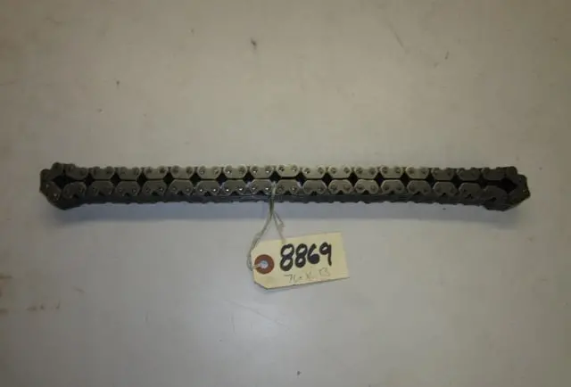 Ski-Doo Large Drive Chain 1
