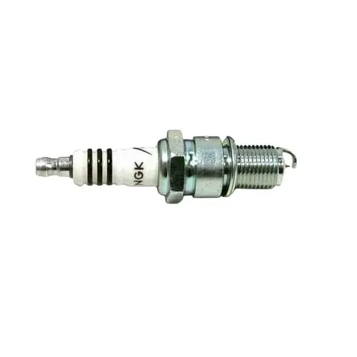 Ski-Doo Spark Plug 1