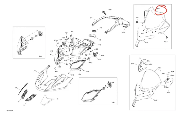 Ski-Doo Windshield (20'') | Lt 1