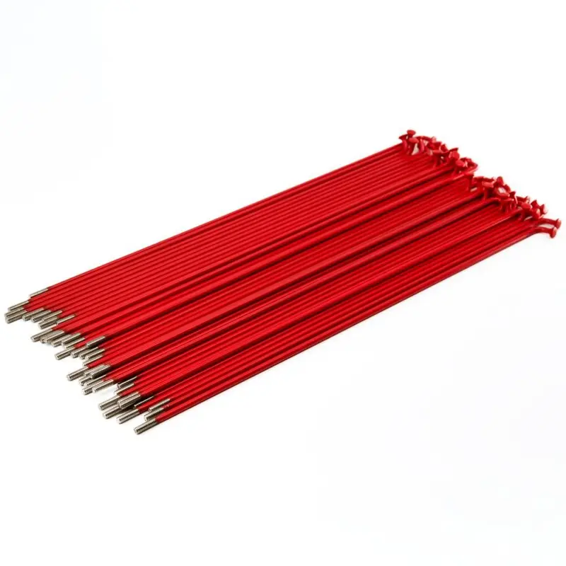 Source Stainless Spokes (40 Pack) - Red 1