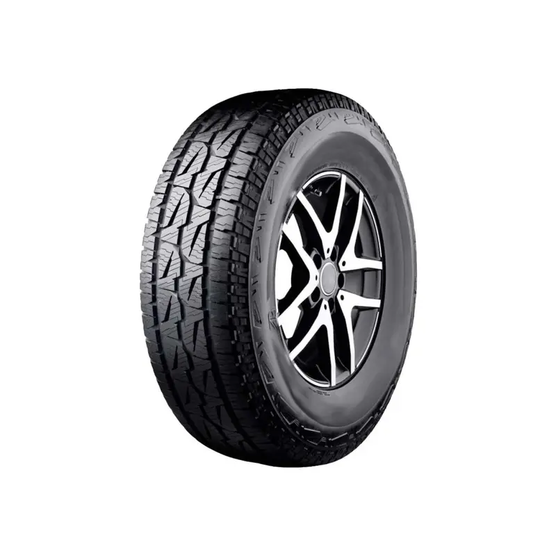 Sportster High-Performance Tire 1