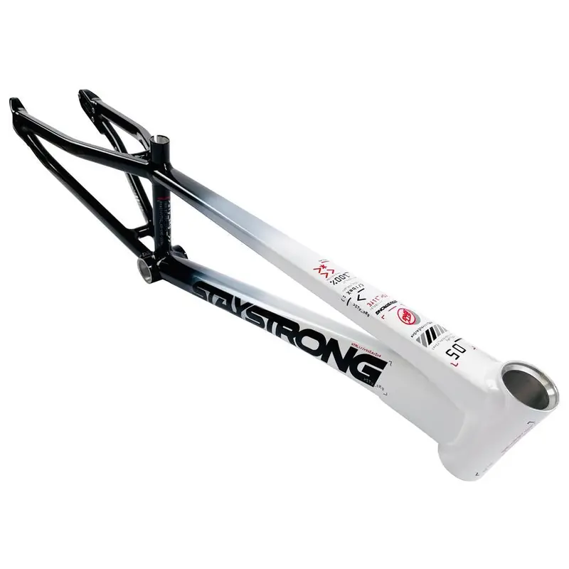 Stay Strong For Life 2024 V5 Cruiser Expert Xl Race Frame 1