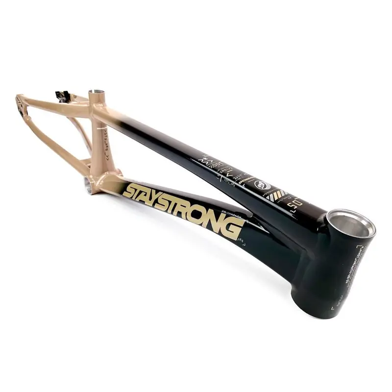 Stay Strong For Life 2024 V5 Cruiser Race Frame - Disc Version 1