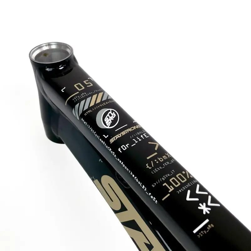 Stay Strong For Life 2024 V5 Cruiser Race Frame - Disc Version 3