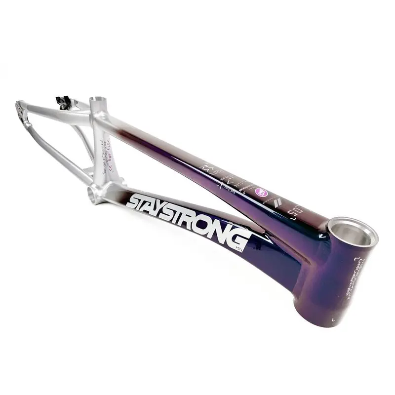Stay Strong For Life 2024 V5 Cruiser Race Frame - Disc Version 3