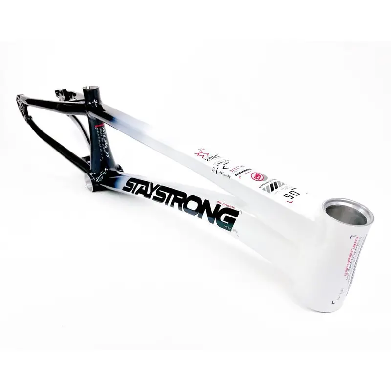 Stay Strong For Life 2024 V5 Cruiser Xxl Race Frame - Disc Version 1