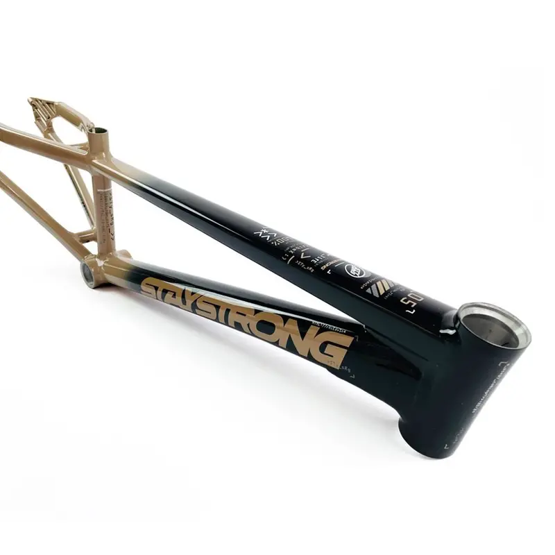 Stay Strong For Life 2024 V5 Expert Race Frame - Disc Frame 1