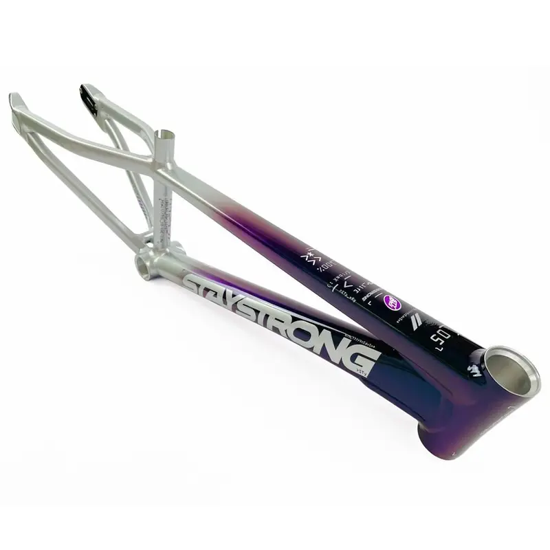 Stay Strong For Life 2024 V5 Expert Xl Race Frame - Disc Version 1