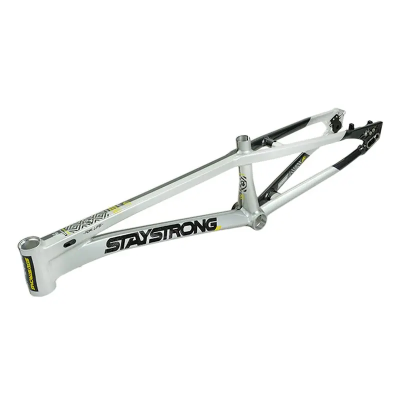 Stay Strong For Life V5.1 Cruiser Expert Xl Frame 4