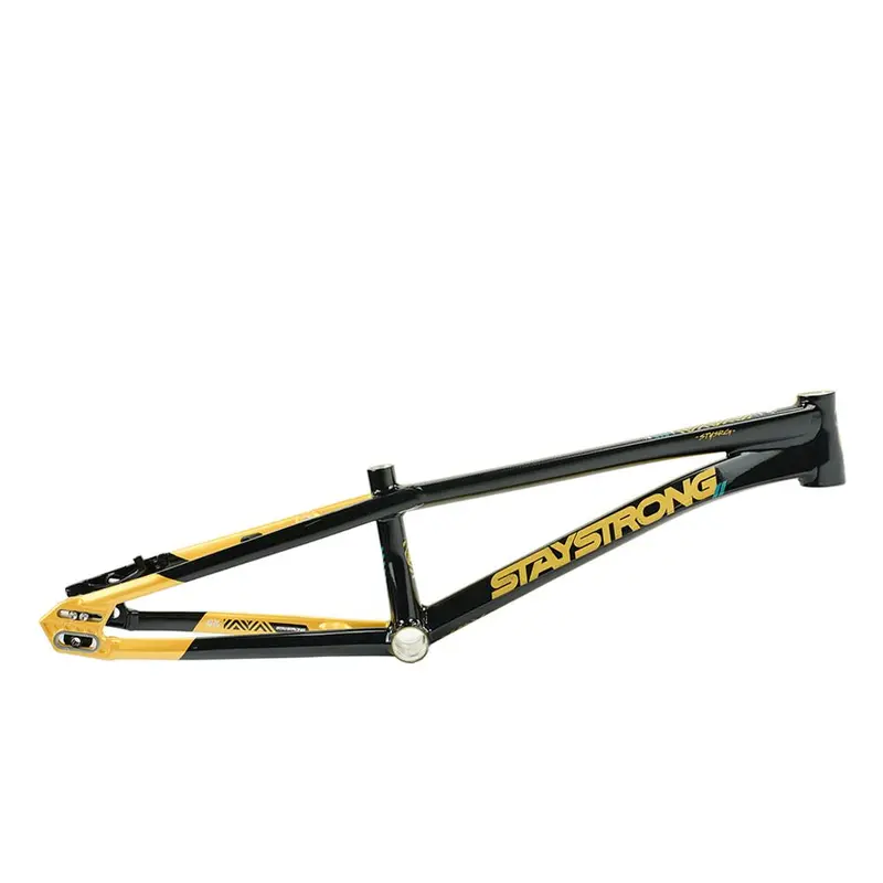 Stay Strong For Life V5.1 Junior Frame 1