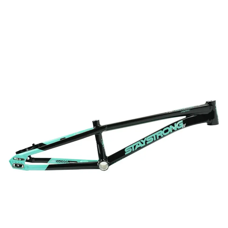 Stay Strong For Life V5.1 Pro Frame 1