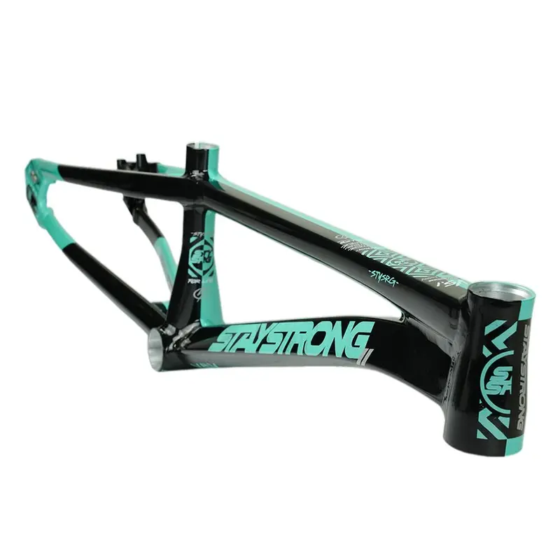 Stay Strong For Life V5.1 Pro Frame 3