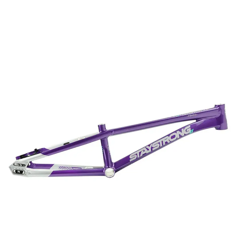 Stay Strong For Life V5.1 Pro Xxl Frame 1