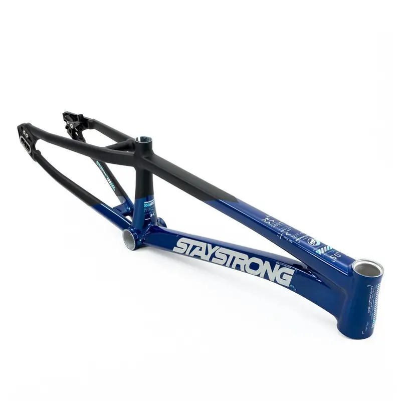 Stay Strong For Life V5 Pro Frame 2025 1