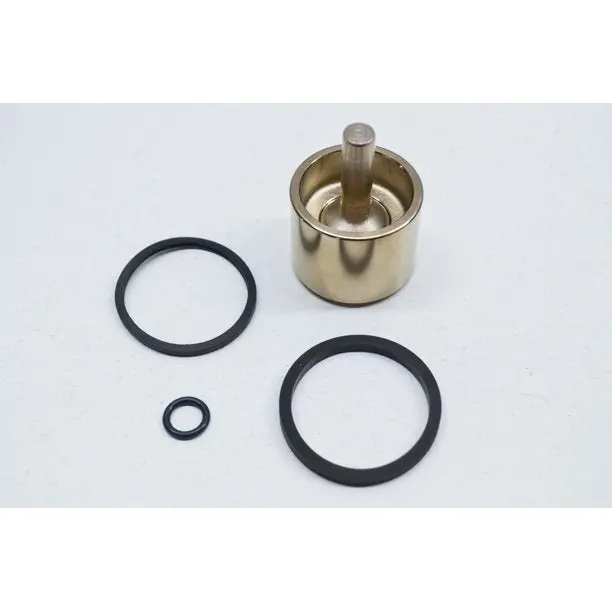 Yamaha Caliper Piston Assembly 1