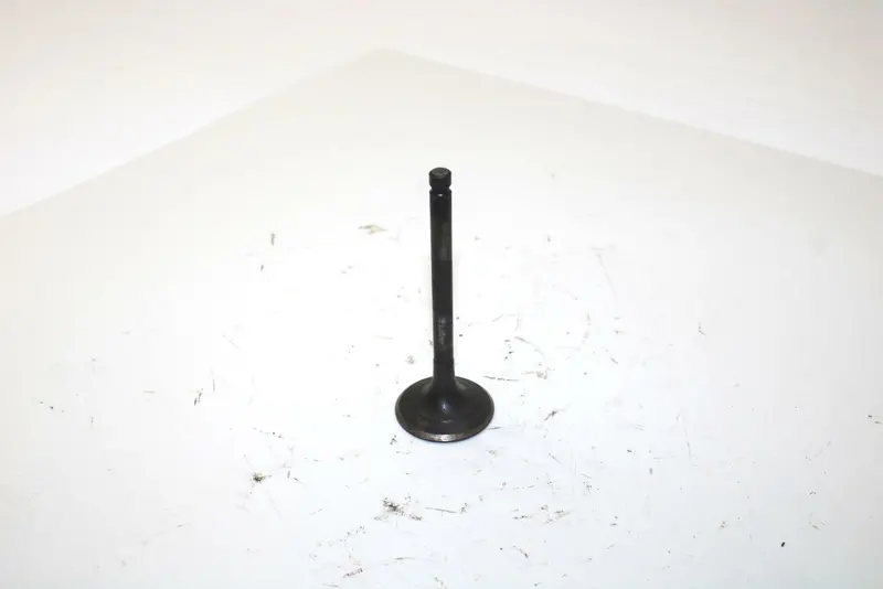 Yamaha Intake Valve 1