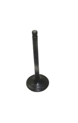 Yamaha Intake Valve 1