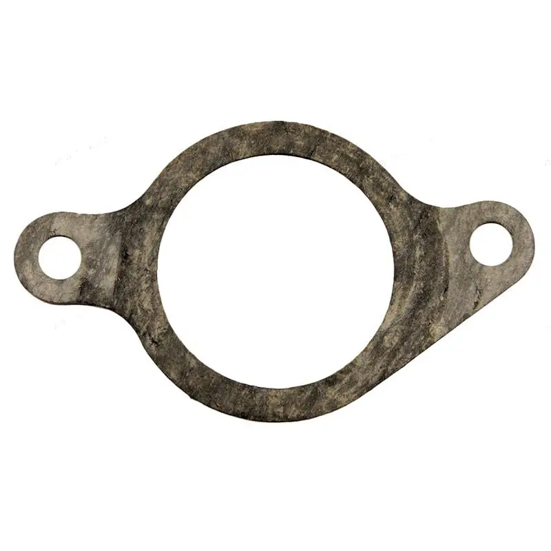 Yamaha Manifold Gasket 1